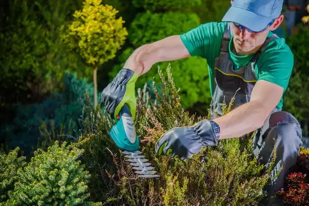 landscaping services Stover